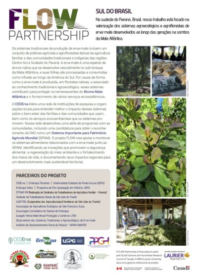 Brazil project one-pager 