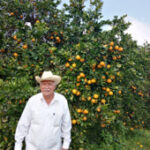 a man standing in front of an orange grove wearing a hat