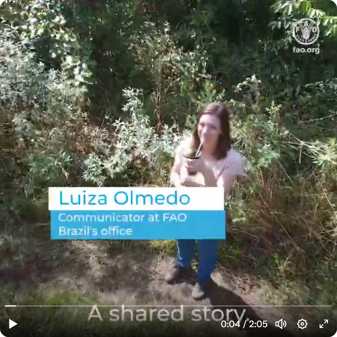 Video still showing Luiza Olmedo of FAO Brazil standing in a forest drinking erva mate.