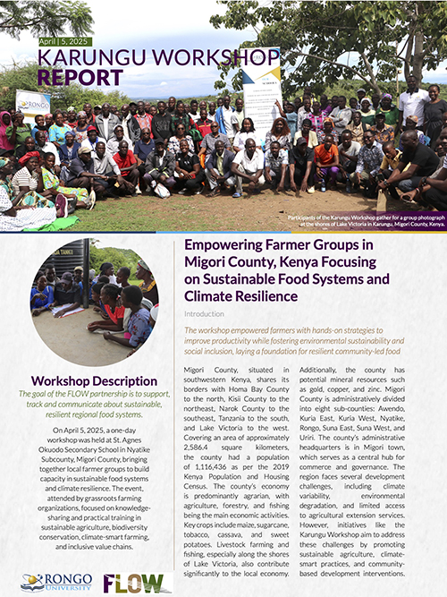 cover image of Karungu Workshop report