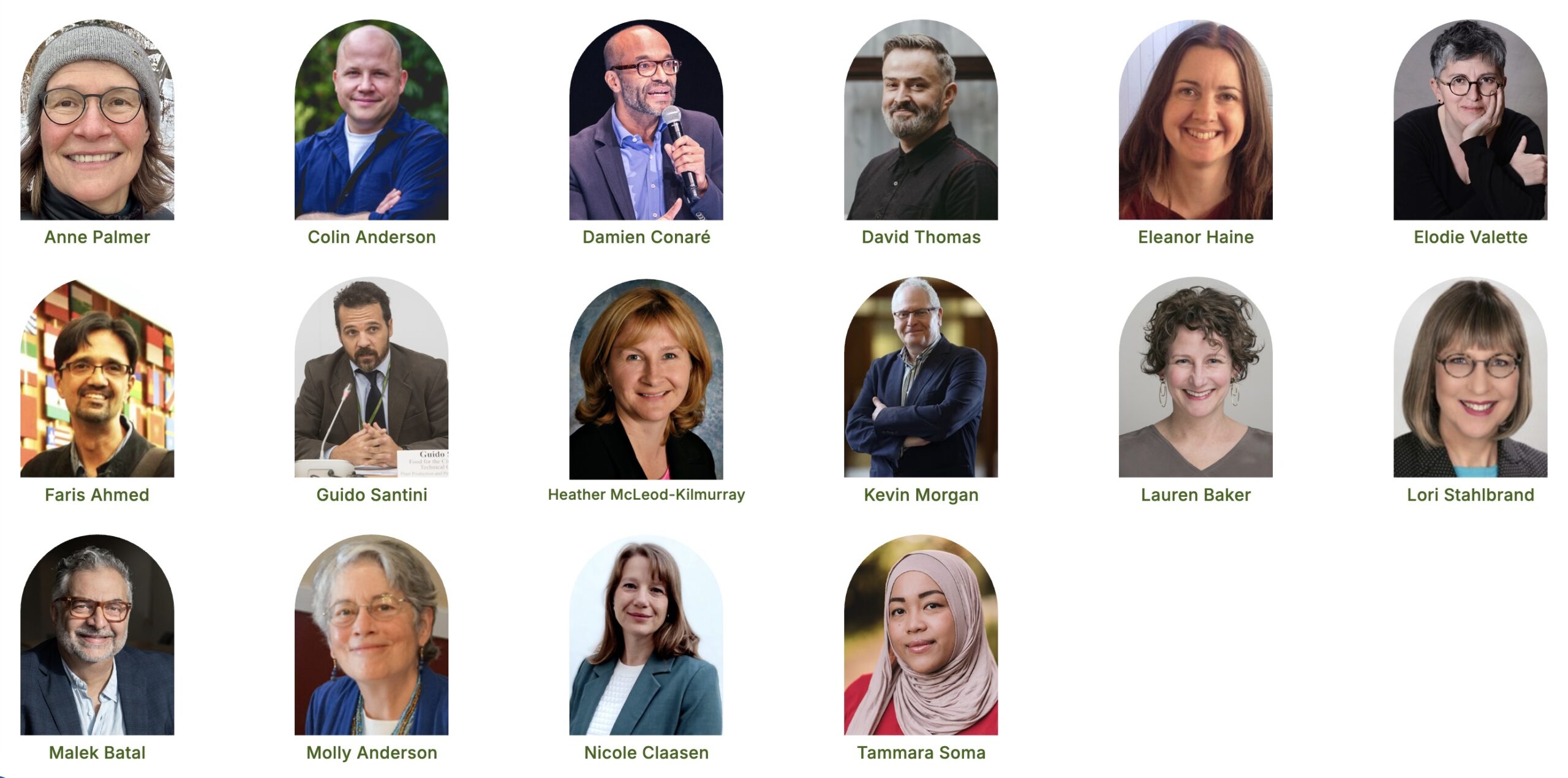 photos of the FLOW advisors, arranged in a grid