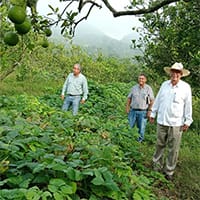 three people standing in an agroecological growing region in Veracruz state, Mexico
