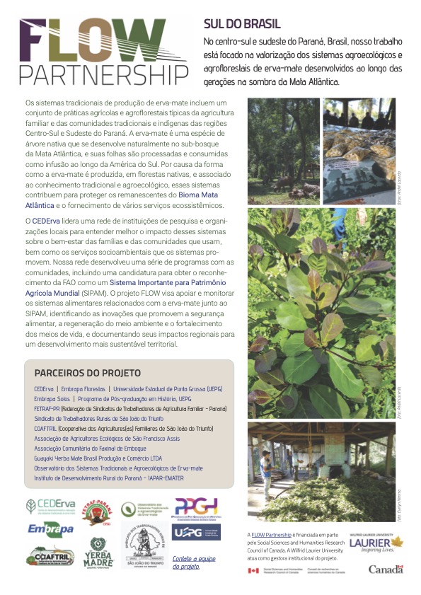 Brazil project one-pager 