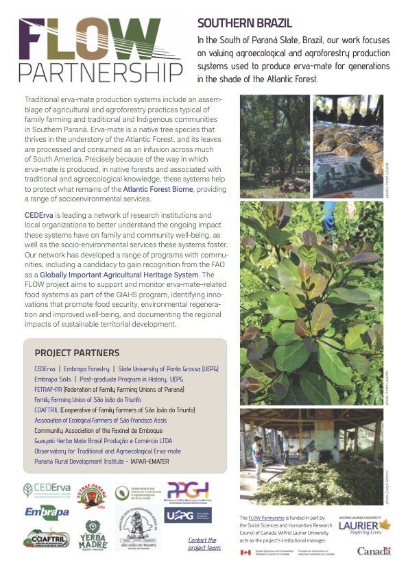 Brazil project one-pager 
